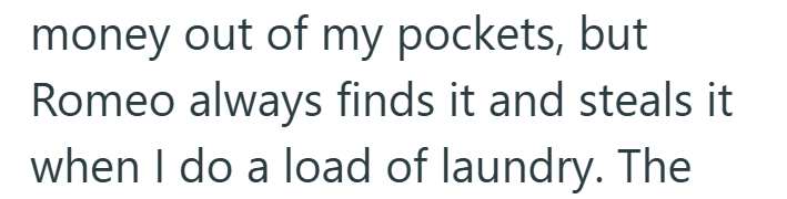 money out of my pockets, but Romeo always finds it and steals it when I do a load of laundry. The