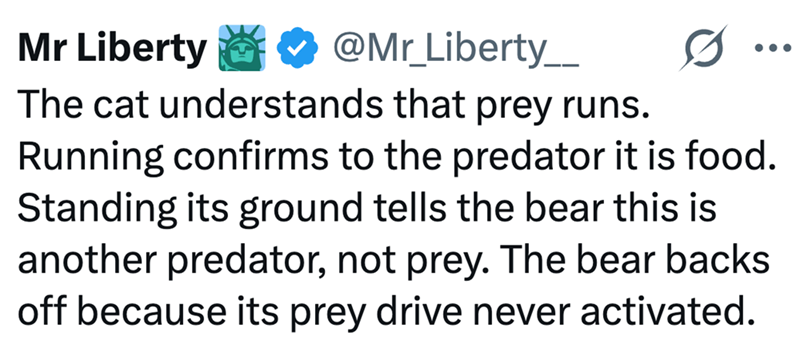Mr Liberty ❤ @Mr_Liberty___ The cat understands that prey runs. Running confirms to the predator it is food. Standing its ground tells the bear this is another predator, not prey. The bear backs off because its prey drive never activated.