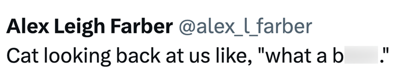Alex Leigh Farber @alex_l_farber Cat looking back at us like, "what a b