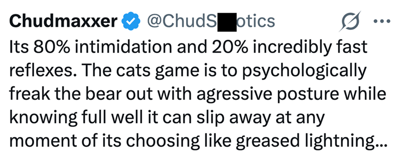 Chudmaxxer @ChudSotics 0 • • • Its 80% intimidation and 20% incredibly fast reflexes. The cats game is to psychologically freak the bear out with agressive posture while knowing full well it can slip away at any moment of its choosing like greased lightning...