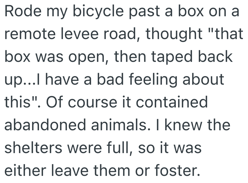 Rode my bicycle past a box on a remote levee road, thought "that box was open, then taped back up...I have a bad feeling about this". Of course it contained abandoned animals. I knew the shelters were full, so it was either leave them or foster.