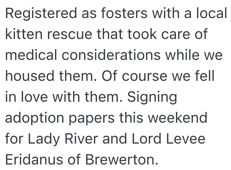 Registered as fosters with a local kitten rescue that took care of medical considerations while we housed them. Of course we fell in love with them. Signing adoption papers this weekend for Lady River and Lord Levee Eridanus of Brewerton.