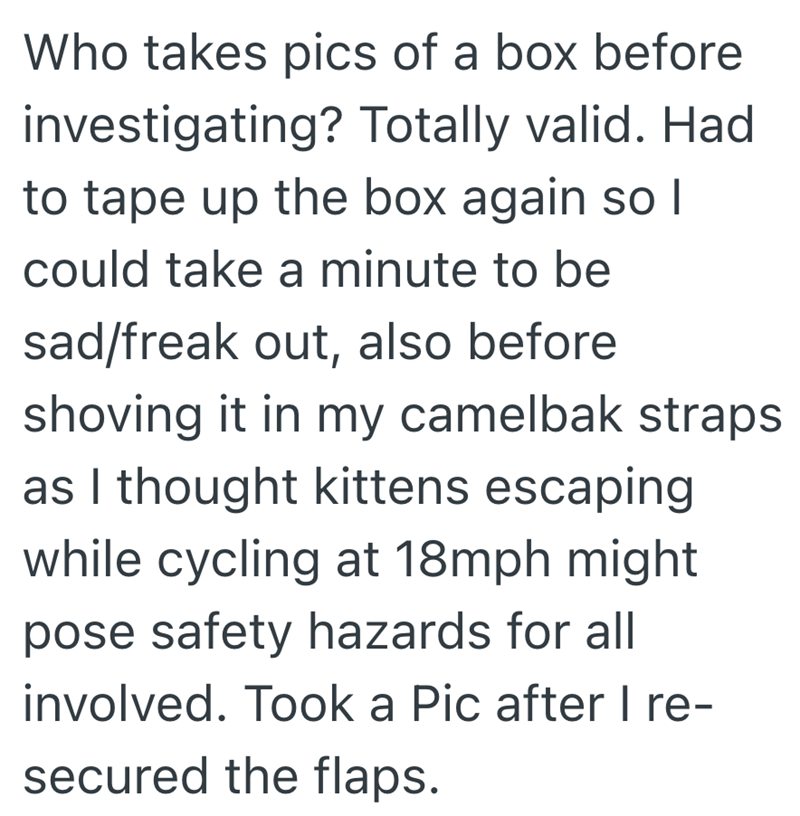 Who takes pics of a box before investigating? Totally valid. Had to tape up the box again so I could take a minute to be sad/freak out, also before shoving it in my camelbak straps as I thought kittens escaping while cycling at 18mph might pose safety hazards for all involved. Took a Pic after I re- secured the flaps.