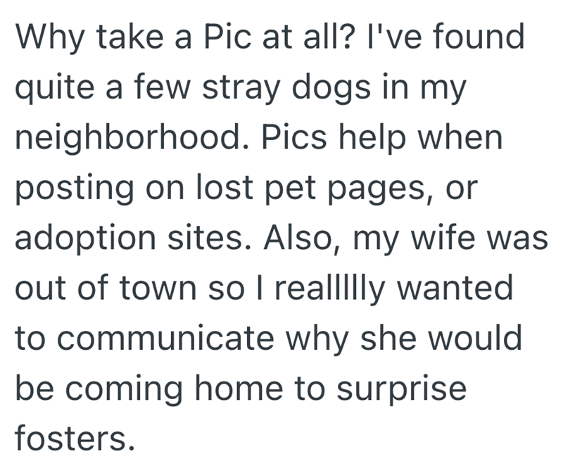Why take a Pic at all? I've found quite a few stray dogs in my neighborhood. Pics help when posting on lost pet pages, or adoption sites. Also, my wife was out of town so I reallllly wanted to communicate why she would be coming home to surprise fosters.