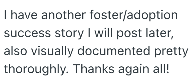 I have another foster/adoption success story I will post later, also visually documented pretty thoroughly. Thanks again all!