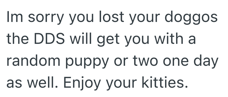 Im sorry you lost your doggos the DDS will get you with a random puppy or two one day as well. Enjoy your kitties.