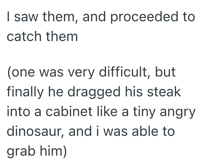 I saw them, and proceeded to catch them (one was very difficult, but finally he dragged his steak into a cabinet like a tiny angry dinosaur, and i was able to grab him)