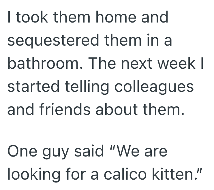 I took them home and sequestered them in a bathroom. The next week I started telling colleagues and friends about them. One guy said "We are looking for a calico kitten."