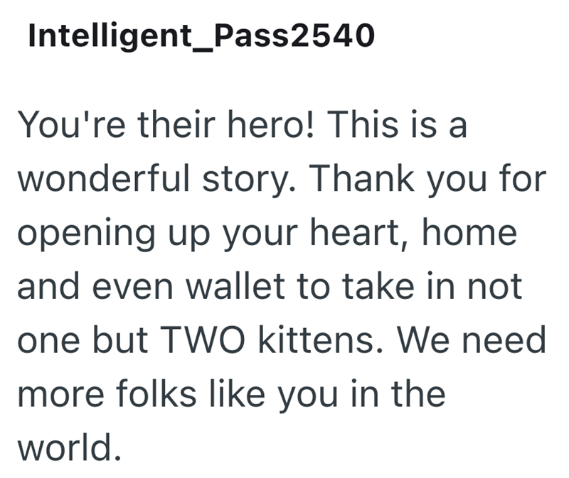 Intelligent_Pass2540 You're their hero! This is a wonderful story. Thank you for opening up your heart, home and even wallet to take in not one but TWO kittens. We need more folks like you in the world.
