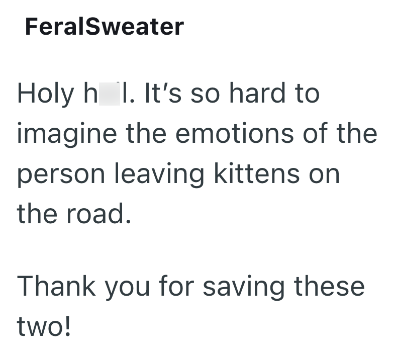 FeralSweater Holy h I. It's so hard to imagine the emotions of the person leaving kittens on the road. Thank you for saving these two!