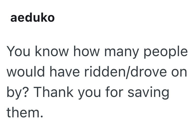 aeduko You know how many people would have ridden/drove on by? Thank you for saving them.