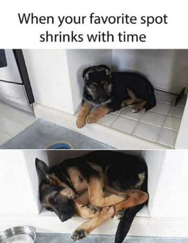 When your favorite spot shrinks with time