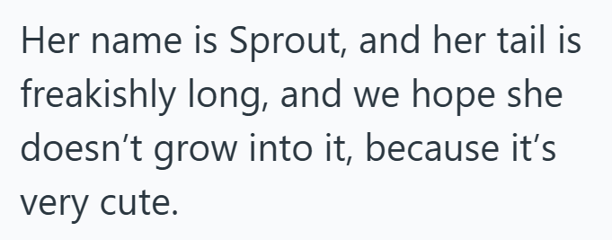 Her name is Sprout, and her tail is freakishly long, and we hope she doesn't grow into it, because it's very cute.