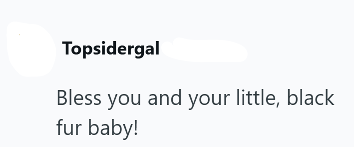 Topsidergal Bless you and your little, black fur baby!