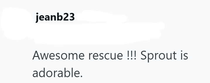 jeanb23 Awesome rescue !!! Sprout is adorable.