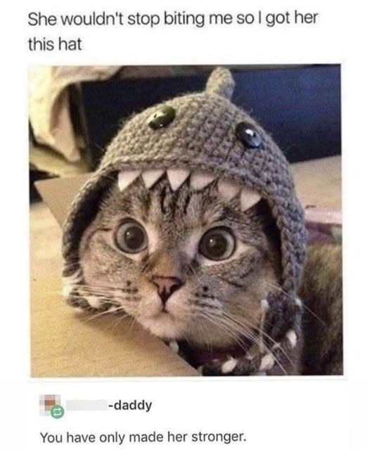 She wouldn't stop biting me so I got her this hat -daddy You have only made her stronger.