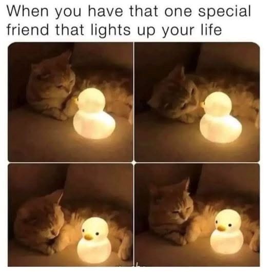 When you have that one special friend that lights up your life