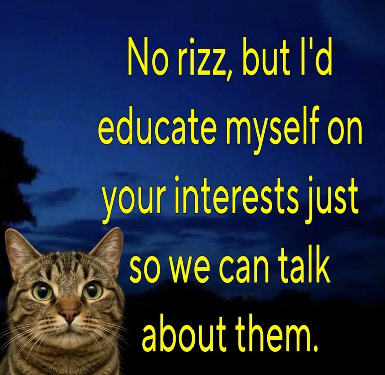 No rizz, but I'd educate myself on your interests just so we can talk about them.