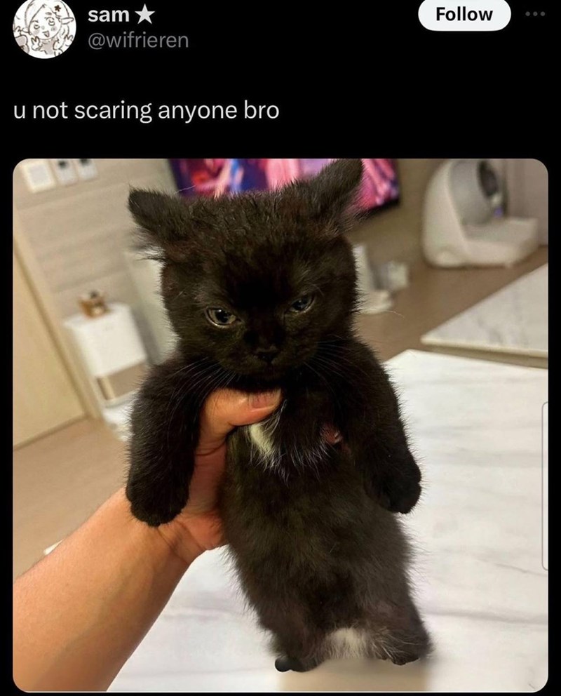 sam @wifrieren u not scaring anyone bro Follow
