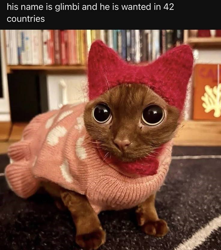 his name is glimbi and he is wanted in 42 countries
