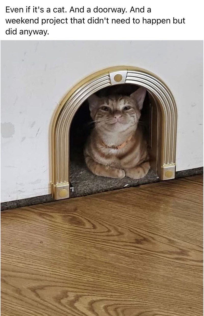 Even if it's a cat. And a doorway. And a weekend project that didn't need to happen but did anyway.