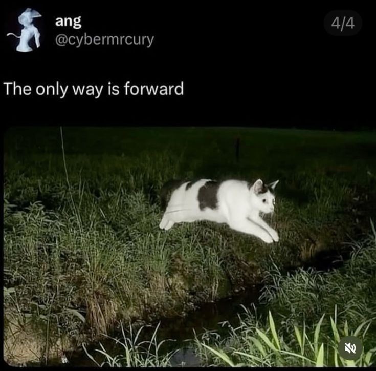 ang @cybermrcury The only way is forward 4/4 71