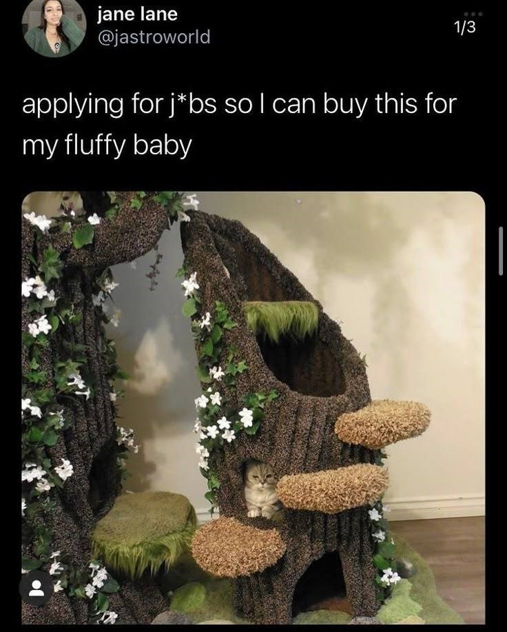 jane lane @jastroworld applying for j*bs so I can buy this for my fluffy baby 1/3