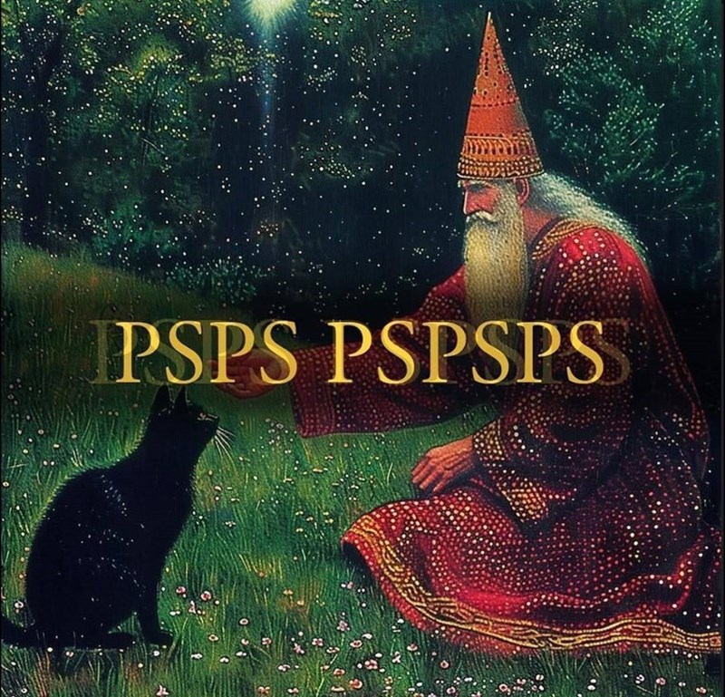 PSPS PSPSPS