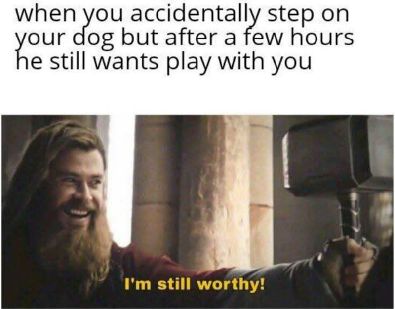 when you accidentally step on your dog but after a few hours he still wants play with you I'm still worthy!