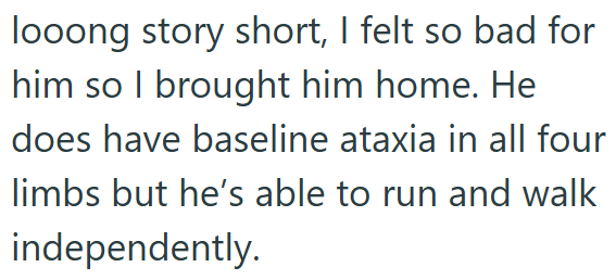 looong story short, I felt so bad for him so I brought him home. He does have baseline ataxia in all four limbs but he's able to run and walk independently.