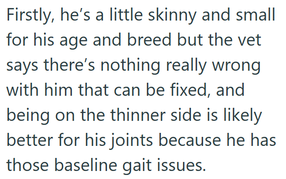 Firstly, he's a little skinny and small for his age and breed but the vet says there's nothing really wrong with him that can be fixed, and being on the thinner side is likely better for his joints because he has those baseline gait issues.