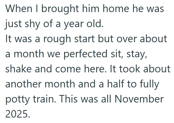 When I brought him home he was just shy of a year old. It was a rough start but over about a month we perfected sit, stay, shake and come here. It took about another month and a half to fully potty train. This was all November 2025.