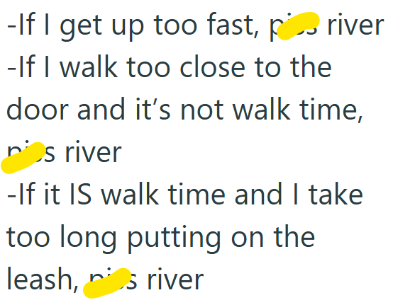 -If I get up too fast, river -If I walk too close to the door and it's not walk time, ris river -If it IS walk time and I take too long putting on the s river leash,