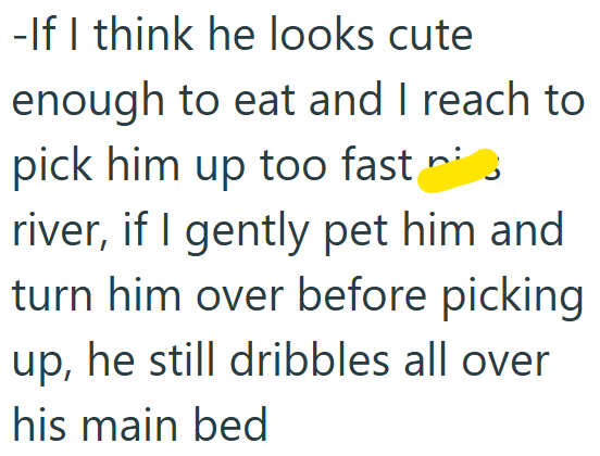 -If I think he looks cute enough to eat and I reach to pick him up too fast river, if I gently pet him and turn him over before picking up, he still dribbles all over his main bed