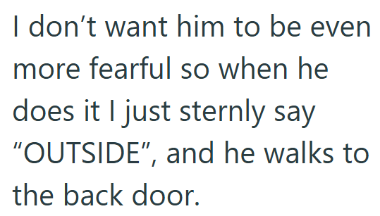 I don't want him to be even more fearful so when he does it I just sternly say "OUTSIDE", and he walks to the back door.