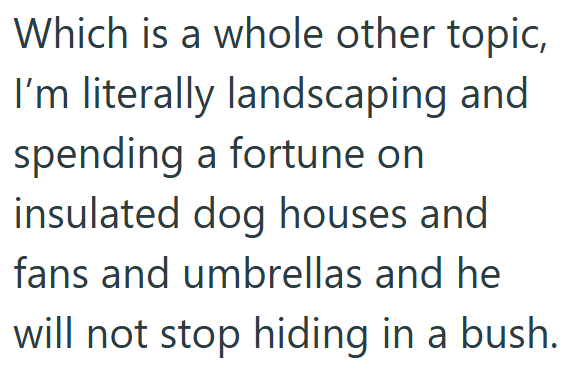 Which is a whole other topic, I'm literally landscaping and spending a fortune on insulated dog houses and fans and umbrellas and he will not stop hiding in a bush.