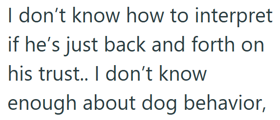I don't know how to interpret if he's just back and forth on his trust.. I don't know enough about dog behavior,