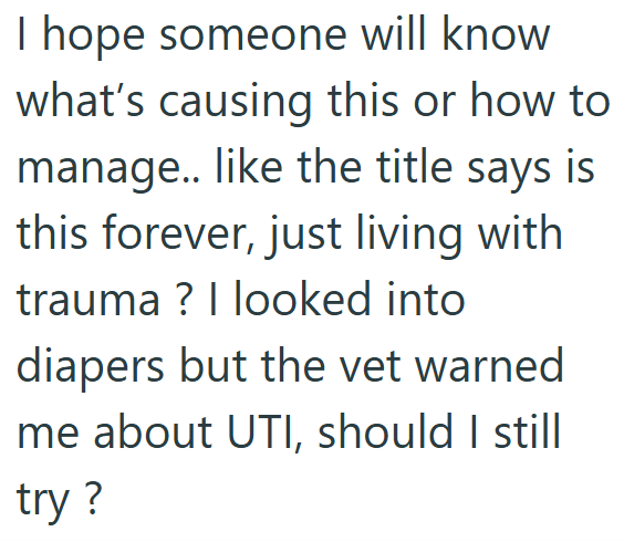 I hope someone will know what's causing this or how to manage.. like the title says is this forever, just living with trauma? I looked into diapers but the vet warned me about UTI, should I still try?