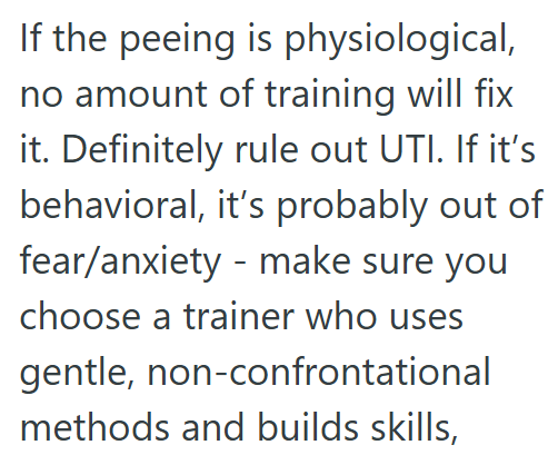 If the peeing is physiological, no amount of training will fix it. Definitely rule out UTI. If it's behavioral, it's probably out of fear/anxiety make sure you choose a trainer who uses gentle, non-confrontational methods and builds skills,