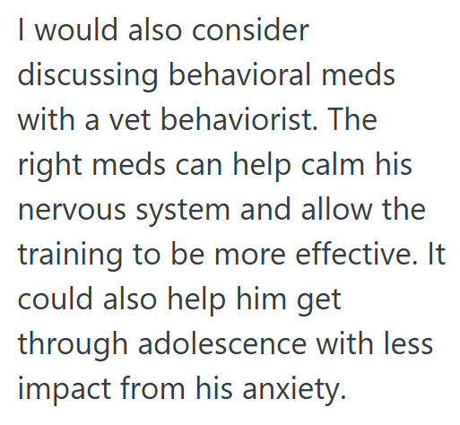 I would also consider discussing behavioral meds with a vet behaviorist. The right meds can help calm his nervous system and allow the training to be more effective. It could also help him get through adolescence with less impact from his anxiety.