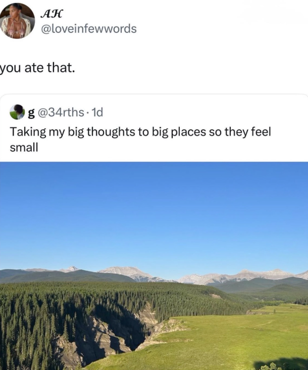 AH @loveinfewwords you ate that. g@34rths. 1d Taking my big thoughts to big places so they feel small