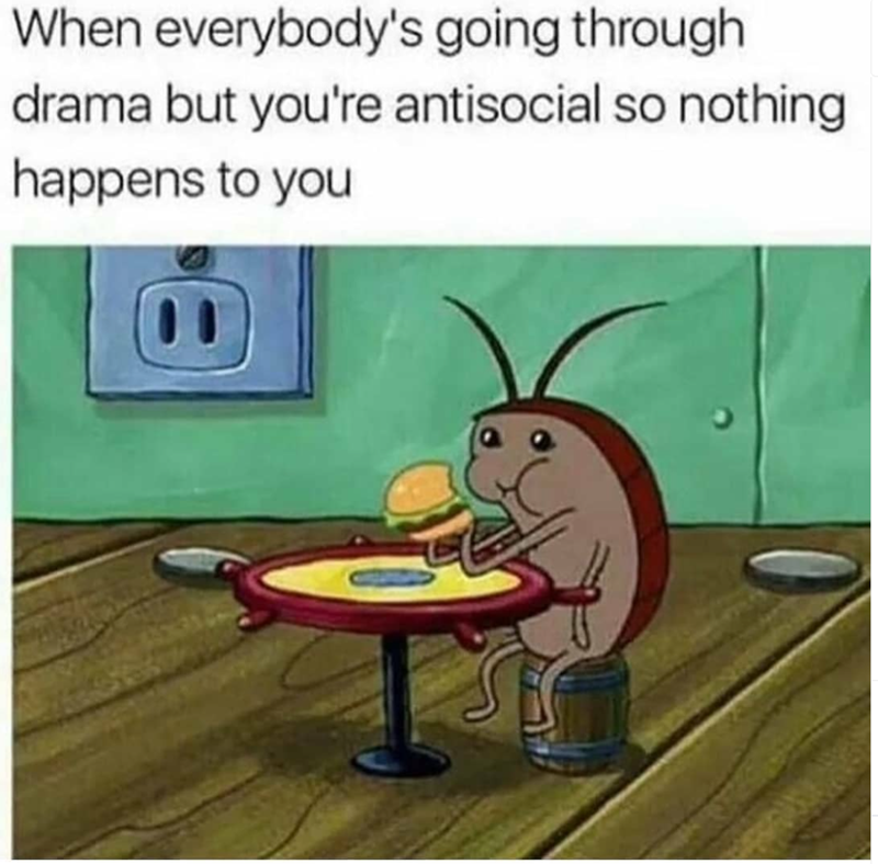 When everybody's going through drama but you're antisocial so nothing happens to you