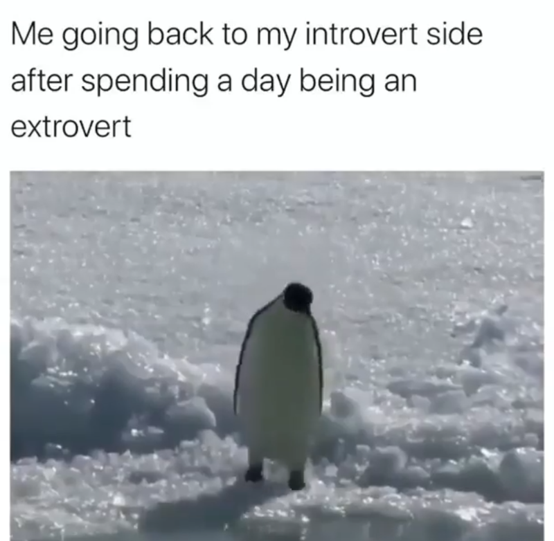 Me going back to my introvert side after spending a day being an extrovert