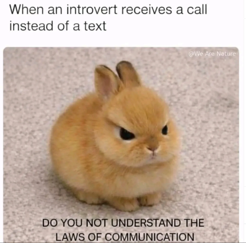 When an introvert receives a call instead of a text @We Are Nature DO YOU NOT UNDERSTAND THE LAWS OF COMMUNICATION