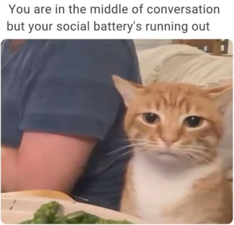 You are in the middle of conversation but your social battery's running out