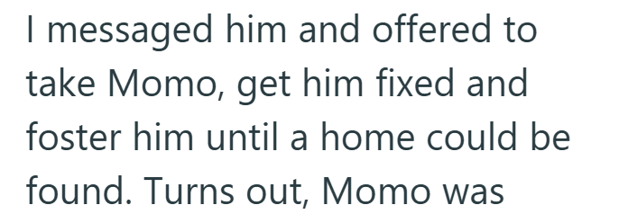 I messaged him and offered to take Momo, get him fixed and foster him until a home could be found. Turns out, Momo was