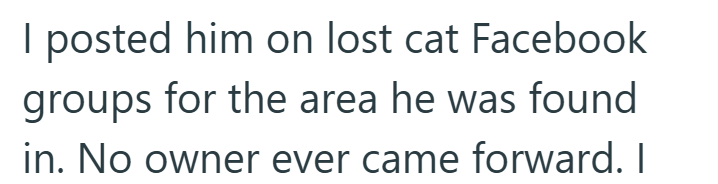 I posted him on lost cat Facebook groups for the area he was found in. No owner ever came forward. I