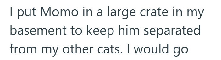I put Momo in a large crate in my basement to keep him separated from my other cats. I would go