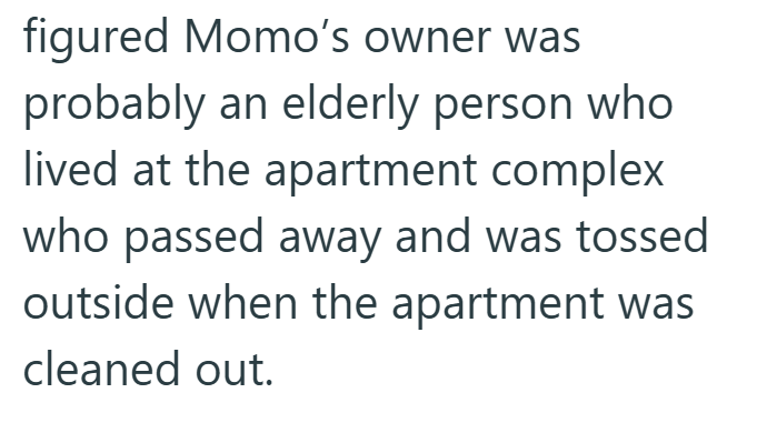figured Momo's owner was probably an elderly person who lived at the apartment complex who passed away and was tossed outside when the apartment was cleaned out.