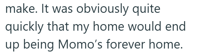 make. It was obviously quite quickly that my home would end up being Momo's forever home.